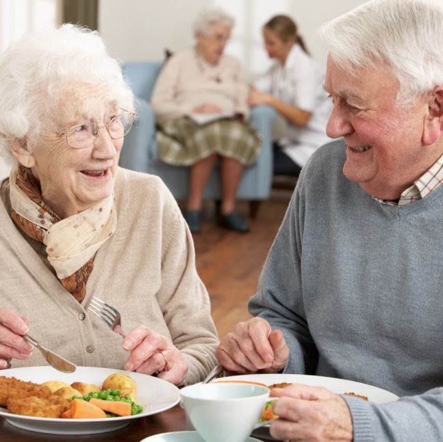 repas a domicile pour seniors