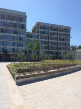 Assistentiewoningen Houtmarkt