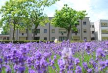 ASSISTENTIEWONINGEN TER CAELE + TER CAELE BIS