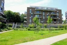 Residentie Schoonebeeker Lier