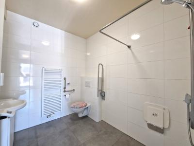 Assistentiewoning in Viane