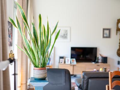 Assistentiewoningen Hof ter Schelde