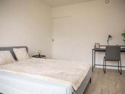Assistentiewoningen  Ringoot