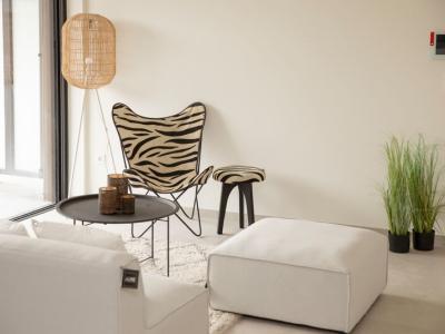 Assistentiewoningen  Ringoot