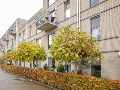 Serviceflats Silsburg