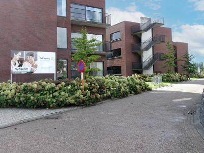 Zorgdorp De Pastorij Assistentiewoningen