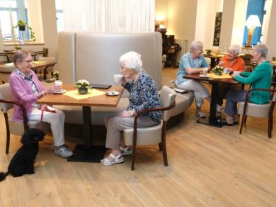 De Witte Bergen Assistentiewoningen