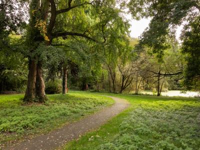 assistentiewoningen De Lieve 