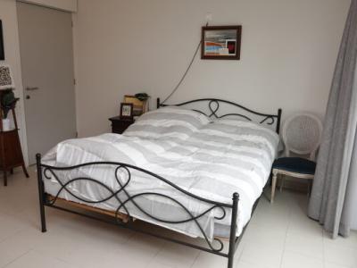 Helianthus Assistentiewoningen