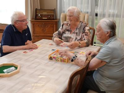 Hof Demeersseman Assistentiewoningen