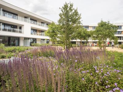 PUR SANG Assisted living