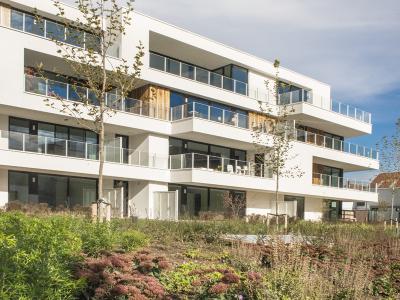 PUR SANG Assisted living