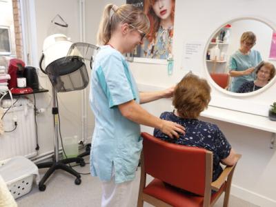 &#039;t Hoge Assistentiewoningen