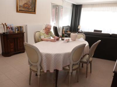 &#039;t Hoge Assistentiewoningen