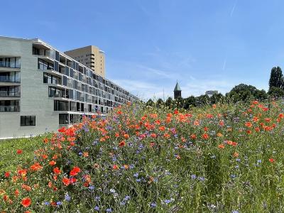 VIVID+ in Leuven - Oplevering begin 2022