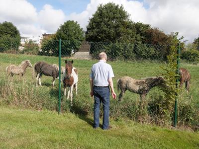 Domaine des Lys