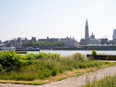 Hof ter Schelde