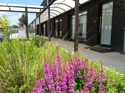 Residence Bellevue-Gavere (90% loué)