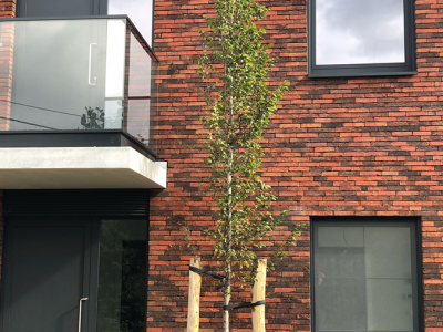 Residentie Sulferberg - Community Building