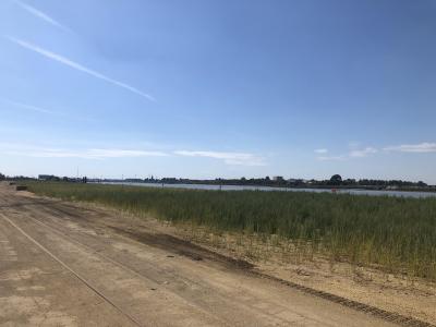 Schelde 21