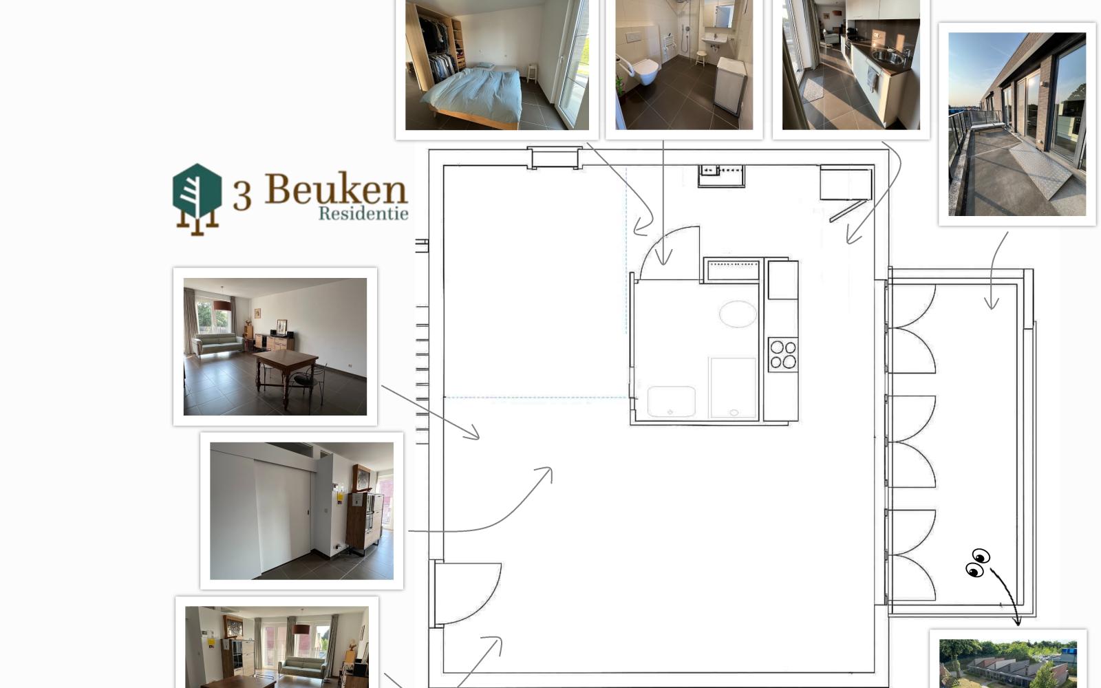 3 Beuken