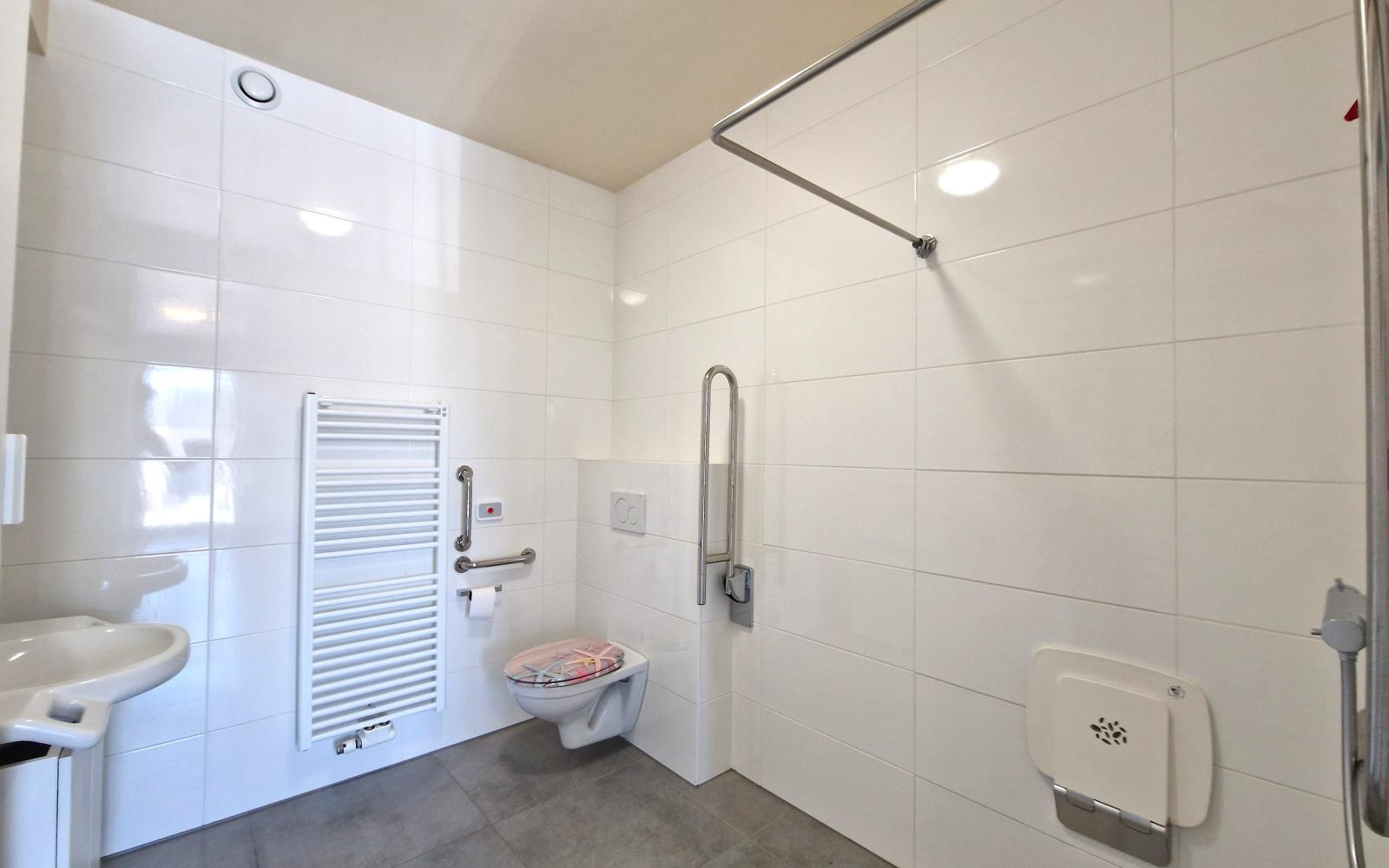 Assistentiewoning in Viane