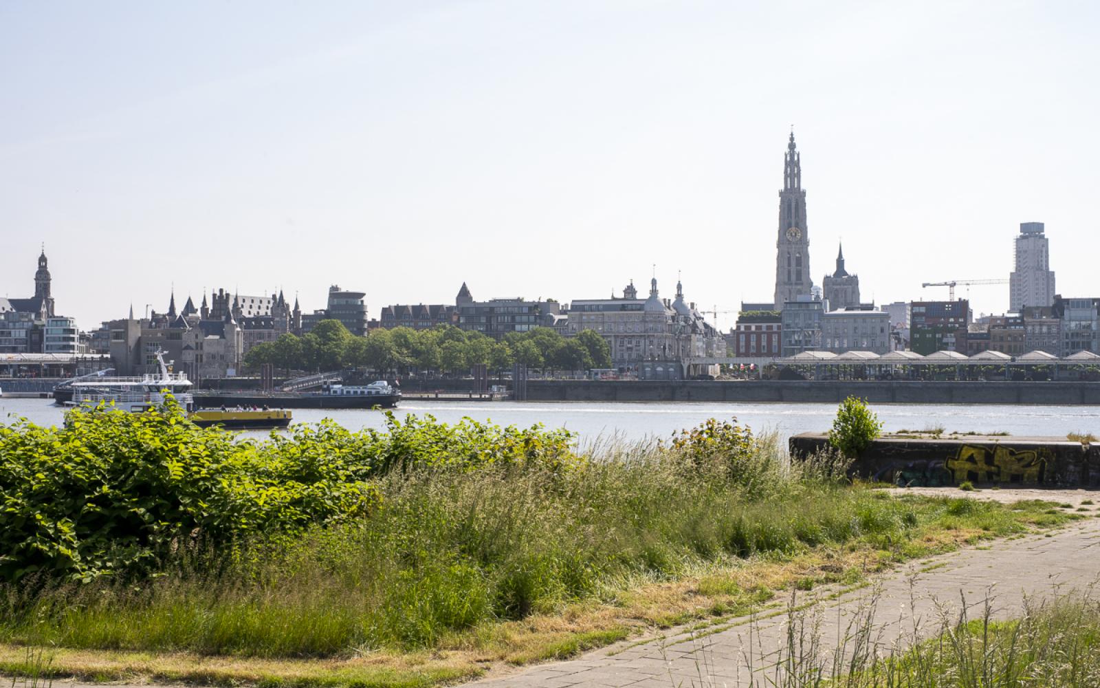 Assistentiewoningen Hof ter Schelde