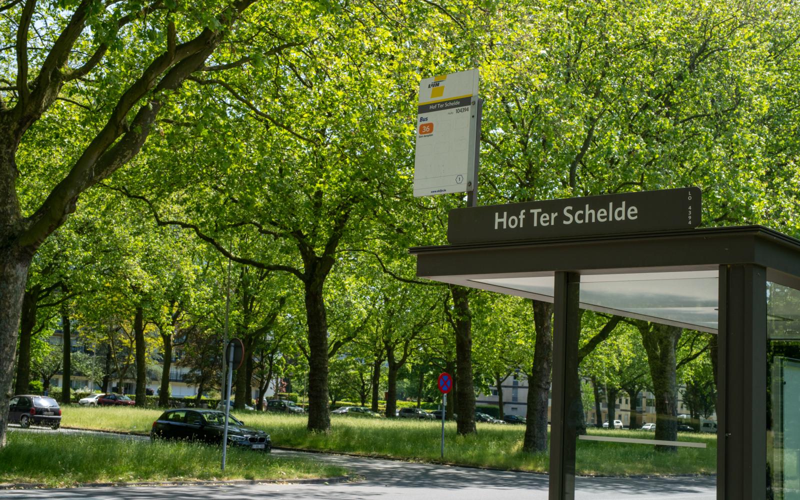 Assistentiewoningen Hof ter Schelde