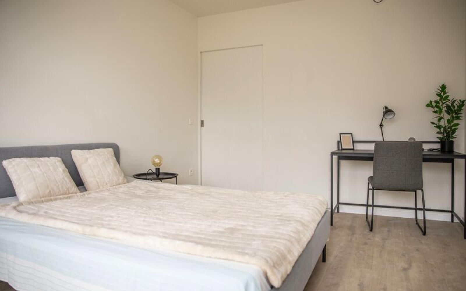 Assistentiewoningen  Ringoot