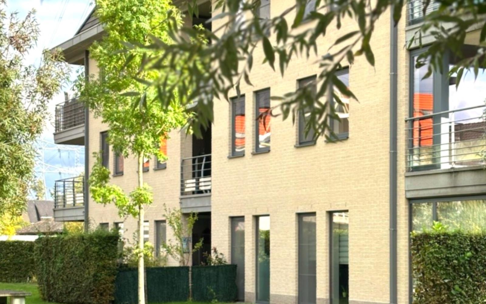 Den Biezerd