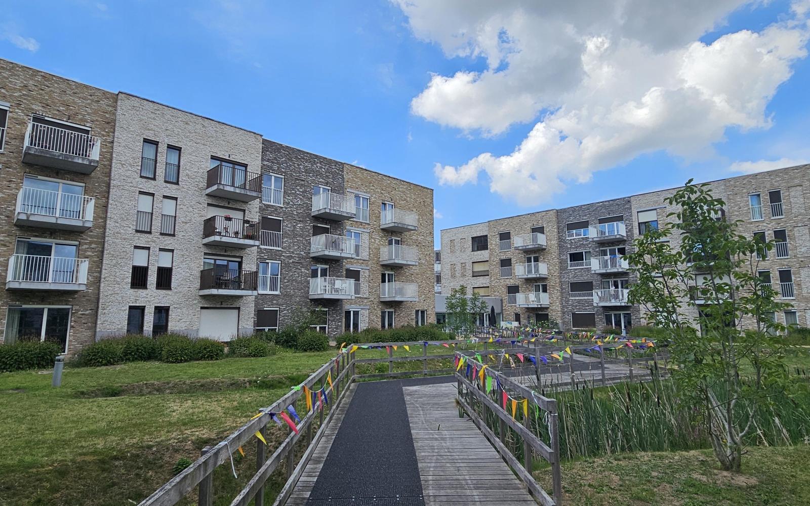 Ikaria Ronse - Renaix