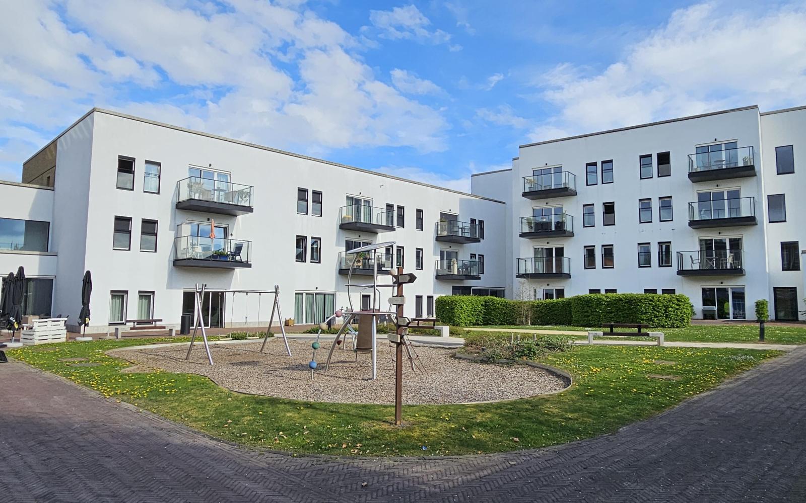 Triamant Aunove - Zottegem