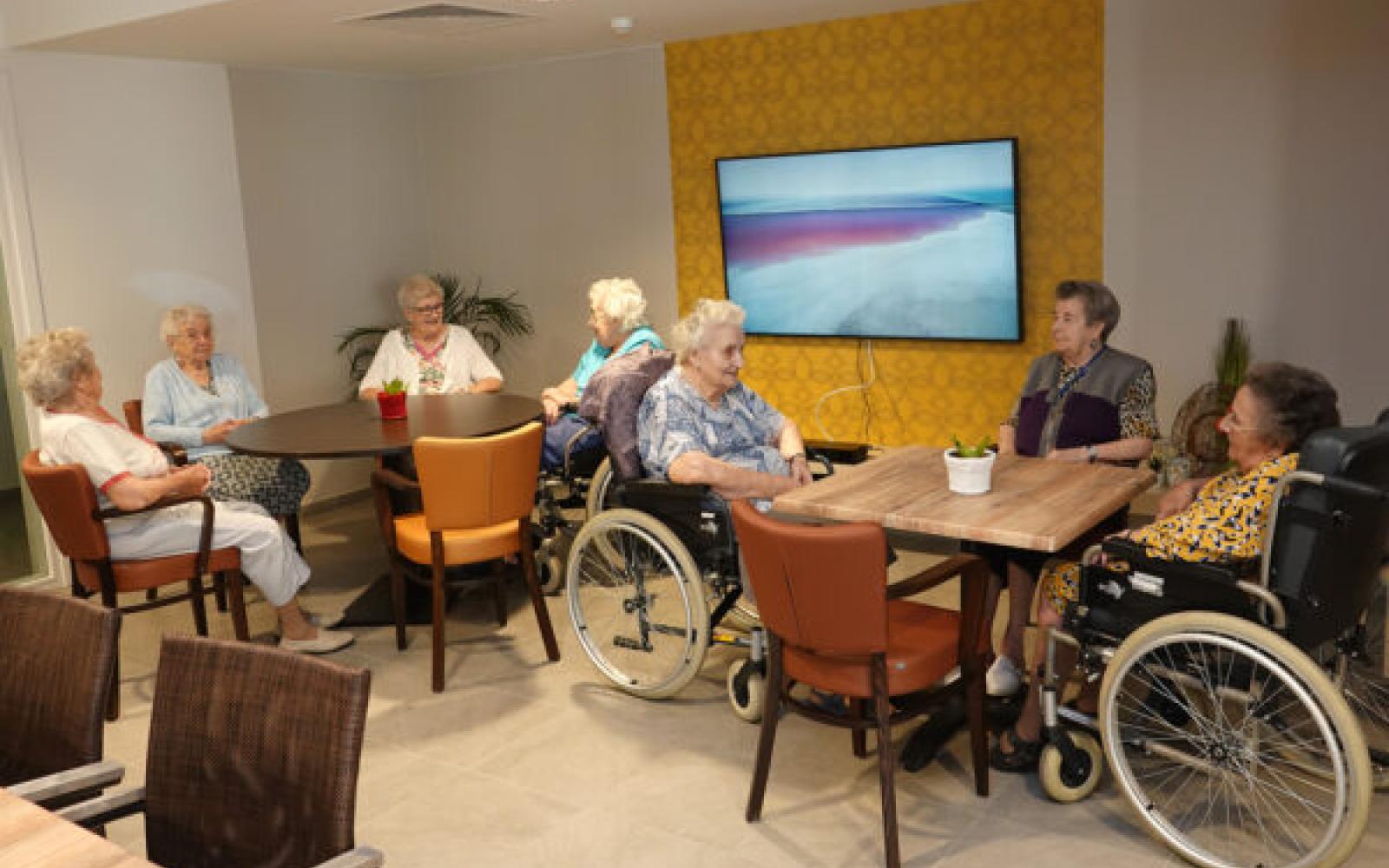 Kasteelhof Assistentiewoningen