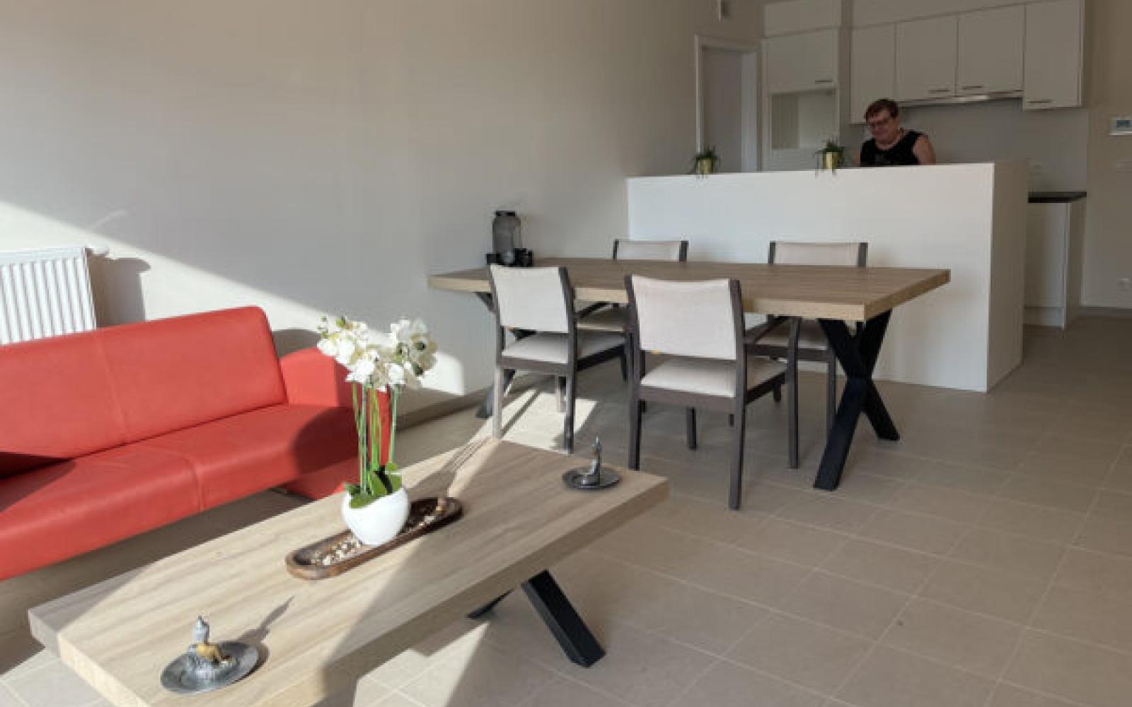&#039;t Hoge Assistentiewoningen