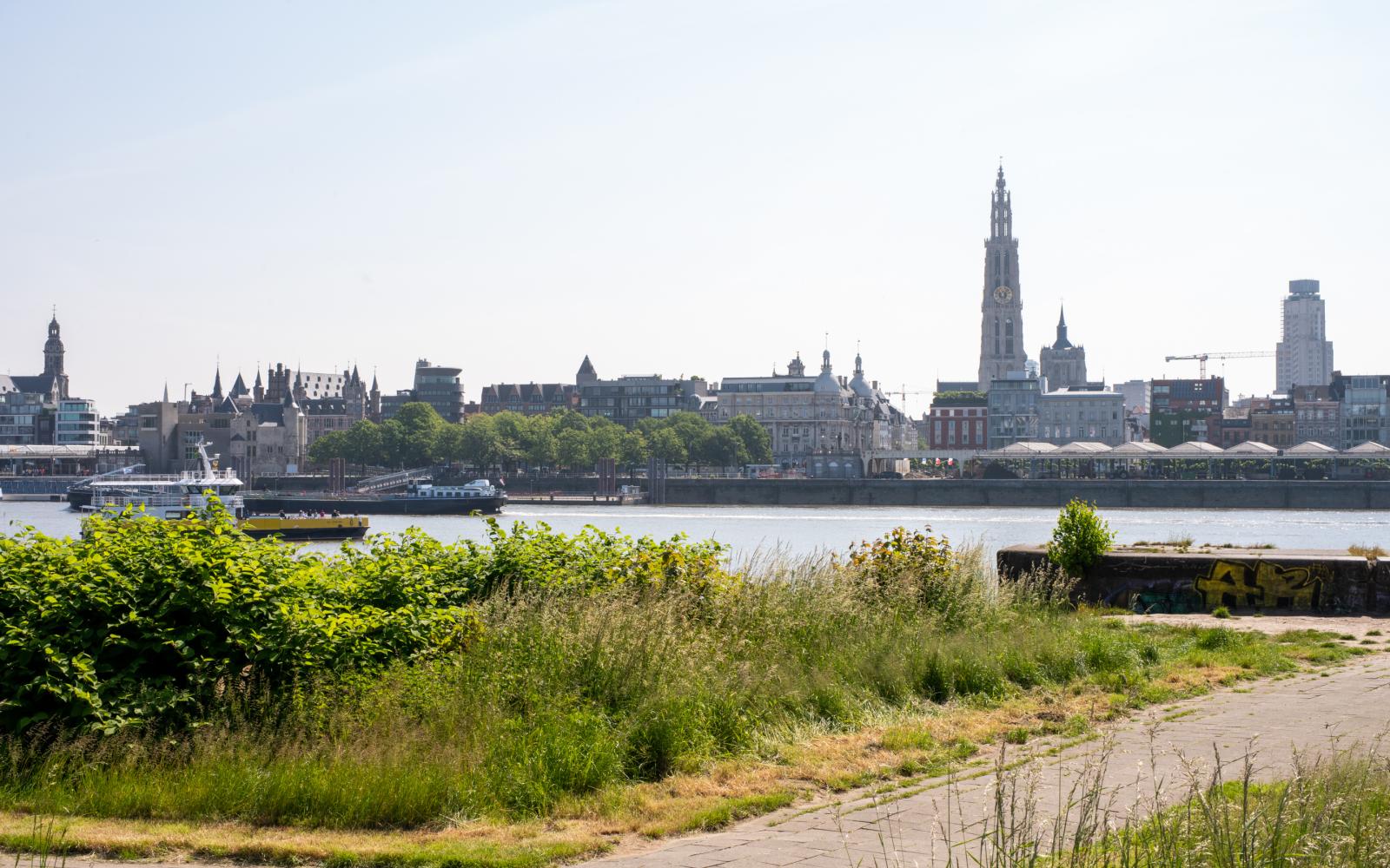 Hof ter Schelde
