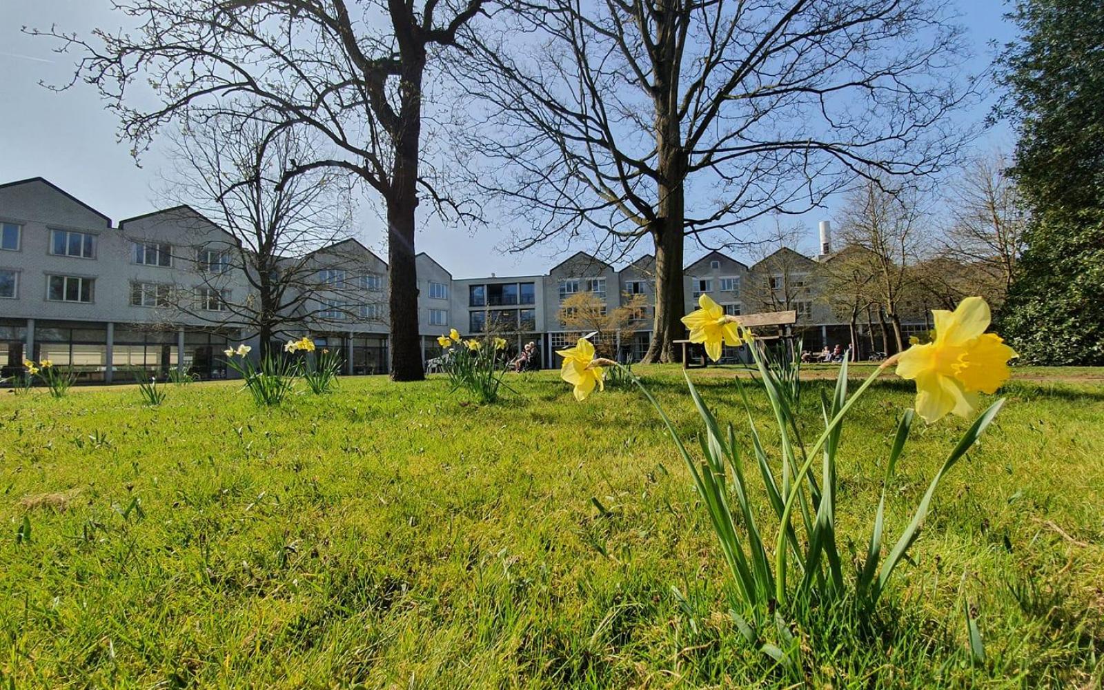 WZC Hof ten Dorpe