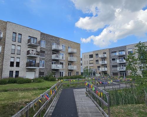 Ikaria Ronse - Renaix