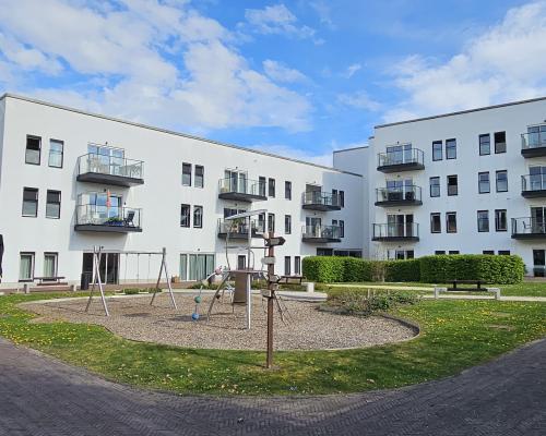Triamant Aunove - Zottegem