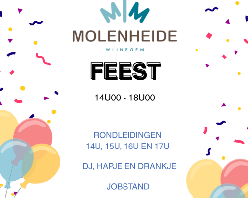 Molenheide WZC