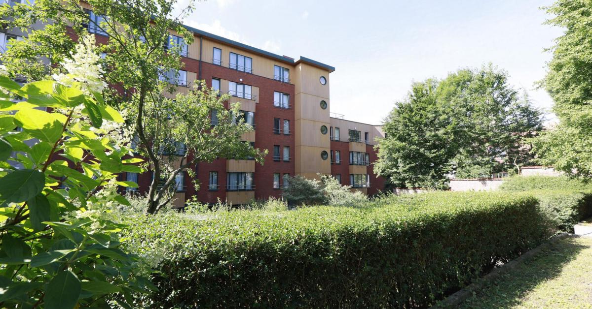 Magnolia Maison De Repos Bruxelles Ventana Blog